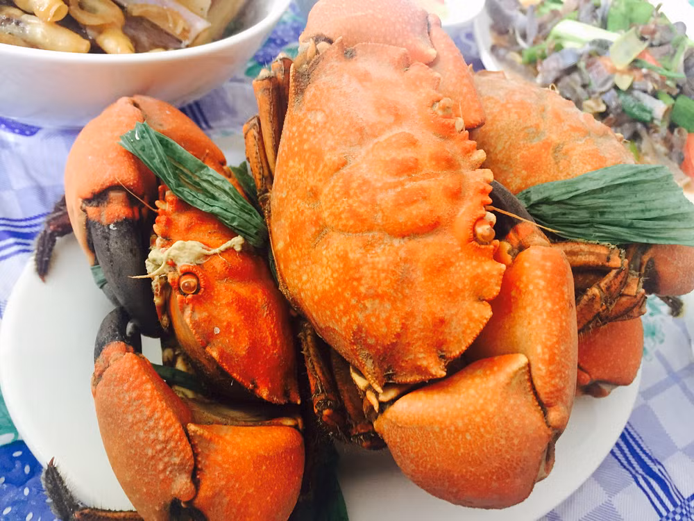 Cù kỳ luộc: Cù kỳ là đặc sản của xứ biển, loại hải sản này rất khó bảo quản lạnh, lại nhanh hỏng nên nếu muốn thưởng trọn dư vị tươi ngon, không còn cách nào khác là tìm đến huyện đảo Vân Đồn. Dư vị của món cù kỳ rất ấn tượng, vừa ngon, vừa khiến người ta “mê mẩn” cái vị ngọt độc đáo của biển khơi.