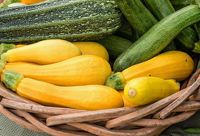 Bí ngòi: Cơ thể chúng ta không thể tạo ra lutein và zeaxanthin, nhưng bạn có thể nạp những chất này từ quả bí. Bí vào mùa hè sẽ có vitamin C và kẽm. Bí mùa đông sẽ cung cấp cho bạn vitamin A và C cũng như axit béo omega-3.