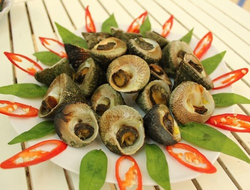 Ốc vú nàng: Loài ốc có cái tên rất lạ tai, lạ mắt với nhiều du khách nhưng nếu ai đã một lần thưởng thức thì không thể quên được hương vị đặc biệt hấp dẫn của loài ốc này.