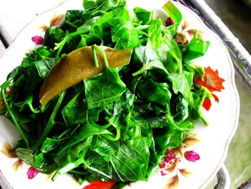 Rau rừng Cù Lao Chàm:Mang hương vị của vị thuốc Đông Y rau rừng mọc hoang ở các chân núi khá phong phú về chủng loại như: rau dớn, rau sân, rau lủi, mã đề...Rau rừng luộc là món ăn đơn giản nhưng cũng "chất" nhất. Rau rừng sống ăn kèm với các loại hải sản cũng vô cùng tuyệt vời và khó quên.