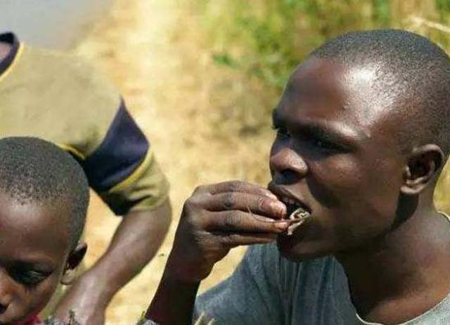 Bánh muỗi được cho vào chảo cùng chút dầu ăn, rán lên. Tùy từng vùng miền mà món bánh muỗi có mùi vị khác nhau.