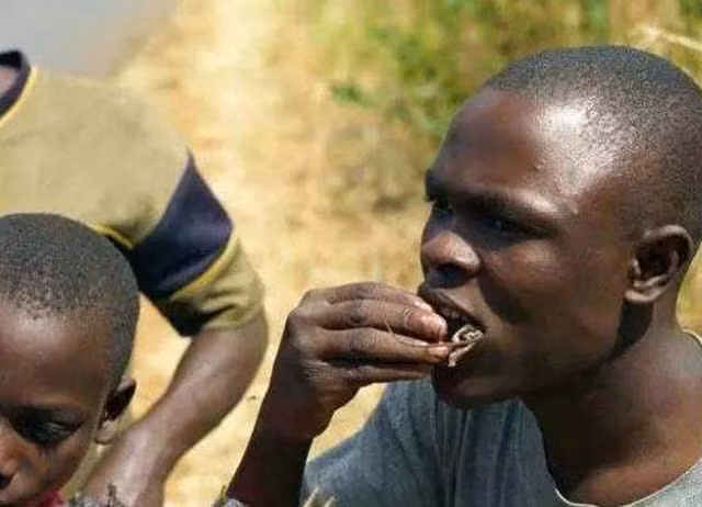 Bánh muỗi được cho vào chảo cùng chút dầu ăn, rán lên. Tùy từng vùng miền mà món bánh muỗi có mùi vị khác nhau.