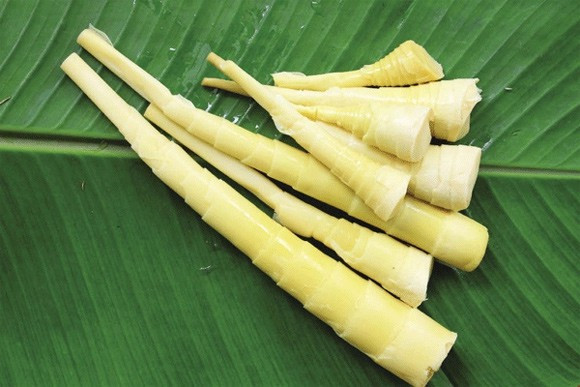 Dù củ măng có to, thì người Tam Đảo cũng luộc nguyên, bày ra đĩa rồi bốc tay chứ không thái nhỏ, dùng đũa gắp. Ảnh: Internet.