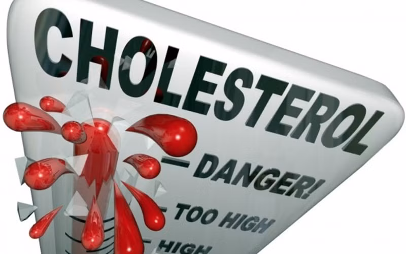 Giảm Cholesterol: Bạn có thể giảm lượng cholesterol trong máu bằng cách sử dụng mướp đắng. Không những vậy, mướp đắng còn là một vị thuốc tự nhiên giúp cơ thể ngăn ngừa các biến cố tim mạch.