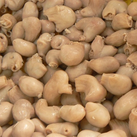 5. Bao tử cá basa chiên giòn: Nguyên liệu: 100 g bao tử cá basa, 200 g thịt nạc heo, 3-4 cái Mộc nhĩ, 5-6 cái nấm hương. Rau răm, 1-2 củ hành khô, 1/2 gói Bột chiên giòn, 1 ít Hạt tiêu, 1 ít bột nêm, 1 ít dầu ăn, 1 ít hành hoa.