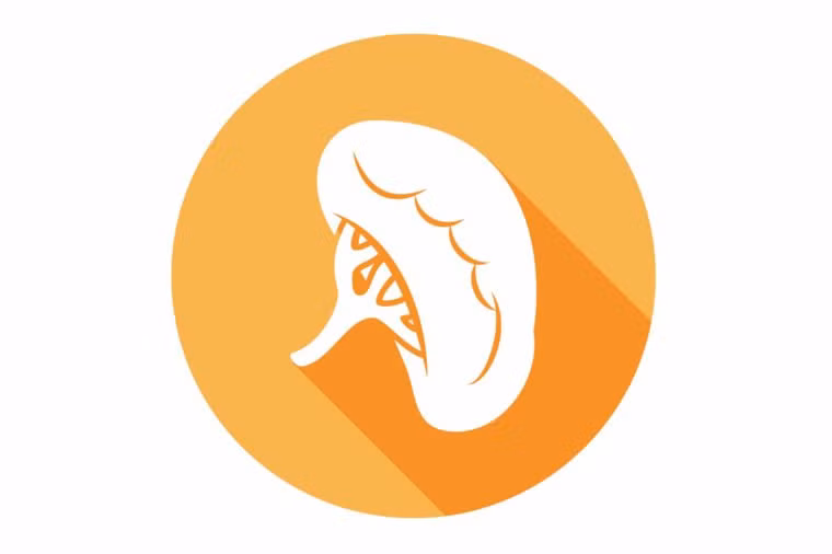 Nếu bị vỡ lá lách, bạn có thể phải cắt bỏ. Sau đó, bạn vẫn có thể sinh hoạt bình thường.