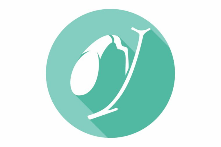 Túi mật nằm dưới gan ở phần trên bên phải của bụng, ngay dưới xương sườn. Sỏi mật là nguyên nhân phổ biến nhất khiến cơ quan này thường bị cắt bỏ. Dù thiếu túi mật thì bạn vẫn sống khỏe mạnh.