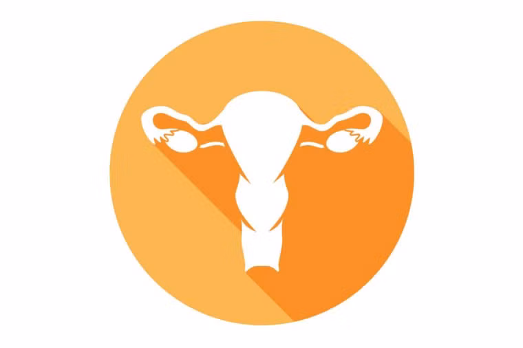 Cơ quan sinh sản: Một nghiên cứu cho thấy phẫu thuật cắt tử cung không có bất kỳ tác động tiêu cực nào đến đời sống tình dục của phụ nữ. Tuy nhiên, sự thay đổi nội tiết tố sau khi cắt buồng trứng có thể gây mất ham muốn “yêu”. Đối với đàn ông, nếu phải cắt bỏ tinh hoàn thì họ vẫn có thể sống tốt.