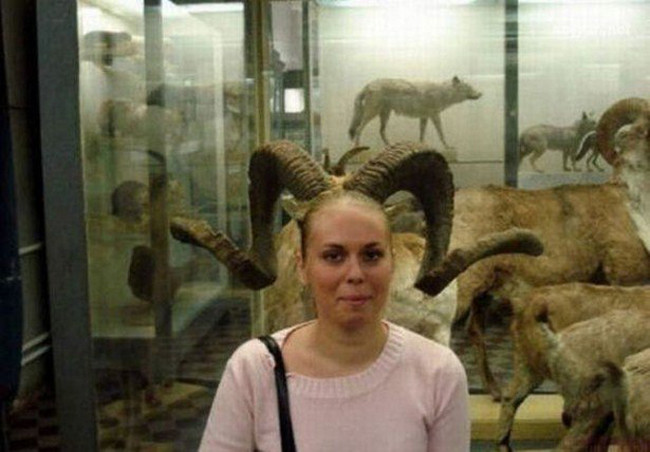 "Sừng" tôi làm gì mọc được dài như thế rồi.