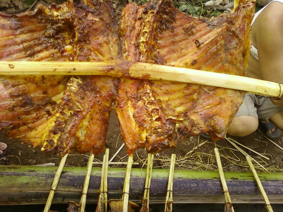 Rửa sạch và xắt cá xong bắt đầu ướp gia vị. Riềng và nghệ giã nhỏ vắt lấy nước cho vào cá, rau mùi thái nhỏ, sả ớt thái nhỏ. Cho hỗn hợp nước mắm,nước riềng, nước nghệ, hạt thì là, hạt tiêu, ớt, sả, rau mùi vào bóp với cá, bóp đều để cá ngấm khoảng 1 tiếng.