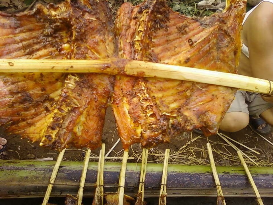 Rửa sạch và xắt cá xong bắt đầu ướp gia vị. Riềng và nghệ giã nhỏ vắt lấy nước cho vào cá, rau mùi thái nhỏ, sả ớt thái nhỏ. Cho hỗn hợp nước mắm,nước riềng, nước nghệ, hạt thì là, hạt tiêu, ớt, sả, rau mùi vào bóp với cá, bóp đều để cá ngấm khoảng 1 tiếng.