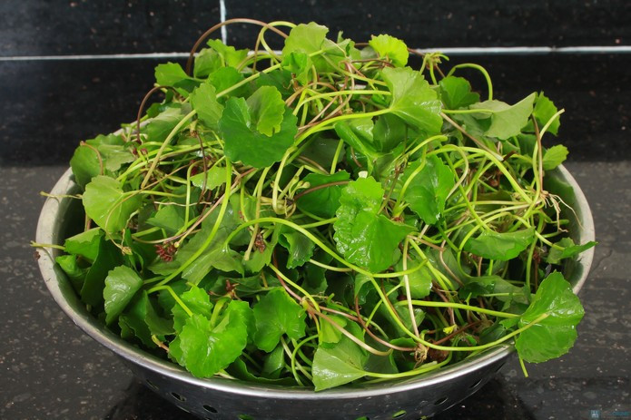 Nhung bai thuoc chua benh cuc quy hiem tu loai rau ma moc hoang