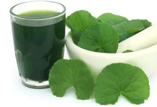 Nhung bai thuoc chua benh cuc quy hiem tu loai rau ma moc hoang-Hinh-11