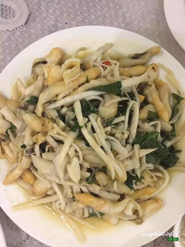 Móng tay xào măng: Cái tên của loài ốc này cũng bắt nguồn từ chính hình dáng của nó. Người ta bắt ốc móng tay dựa vào sự lên xuống của thủy triều. Loài nhuyễn thể này thường sống trong cát bùn ở các cửa biển, chủ yếu ăn phiêu sinh vật. Khi thuỷ triều lên, nó trồi ra khỏi hốc và nhanh chóng lủi sâu xuống cát mỗi khi có động nhờ vào cái chân thật mạnh.