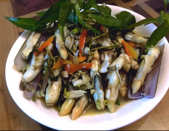 Ốc móng tay được khai thác quanh năm nhưng vào đầu mùa mưa (khoảng tháng 5, 6 dương lịch) là thời gian ốc móng tay có thịt, chắc và ngon nhất. Loại ốc này có thể chế biến thành nhiều món ăn ngon, độc đáo như: ốc móng tay xào rau măng, xào me, xào dứa, xào tía tô, xào rau muống, gỏi ốc móng tay sứa, ốc móng tay trộn chua cay, hay ốc móng tay sốt cá…