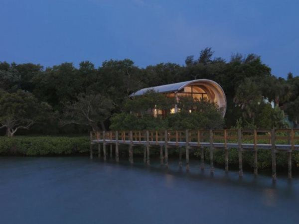 Phong cảnh xung quanh ngôi nhà hữu tình.