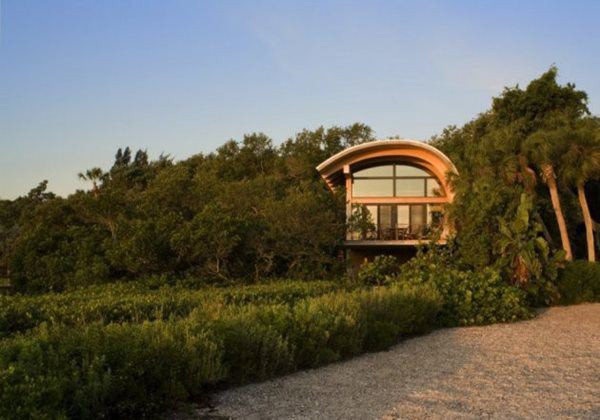 Cây xanh mơn man khắp nơi.