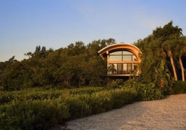 Cây xanh mơn man khắp nơi.