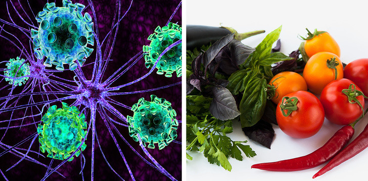 Cà chua có thể làm trầm trọng thêm các triệu chứng bệnh tự miễn: Ăn cà chua nhiều có thể làm nặng thêm tình trạng viêm trong cơ thể, điều này đặc biệt xấu đối với những người mắc các bệnh tự miễn. Rất nhiều người mắc các bệnh tự miễn phải loại cà chua khỏi chế độ ăn và khẳng định sức khỏe của họ đã được cải thiện rất nhiều. Ảnh: BS.