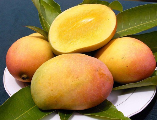 Xoài: Đây là trái cây trong nhóm thực phẩm lợi tiểu, vì vậy, tốt nhất bạn nên tránh ăn nhiều xoài trong thời tiết nắng nóng. Ăn quá nhiều xoài có thể gây nóng trong, nổi mụn, gây tiêu chảy, đau đầu, đặc biệt với trẻ em và thanh thiếu niên.