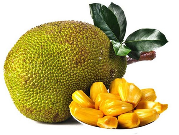 Quả mít, sầu riêng: Quả mít thơm lừng, múi vàng mọng ngọt cũng khiến nhiều người ưa thích, nhưng nếu ăn nhiều cùng lúc và liên tục sẽ gây nóng.