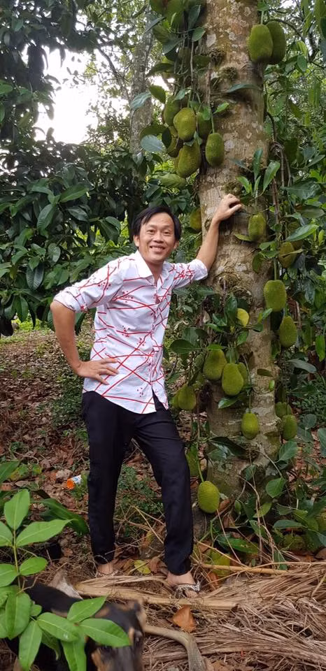 Nam nghệ sĩ trẻ trung và giản dị khi phối áo sơ mi với quần âu và đeo dép xỏ ngón đi thăm vườn mít.