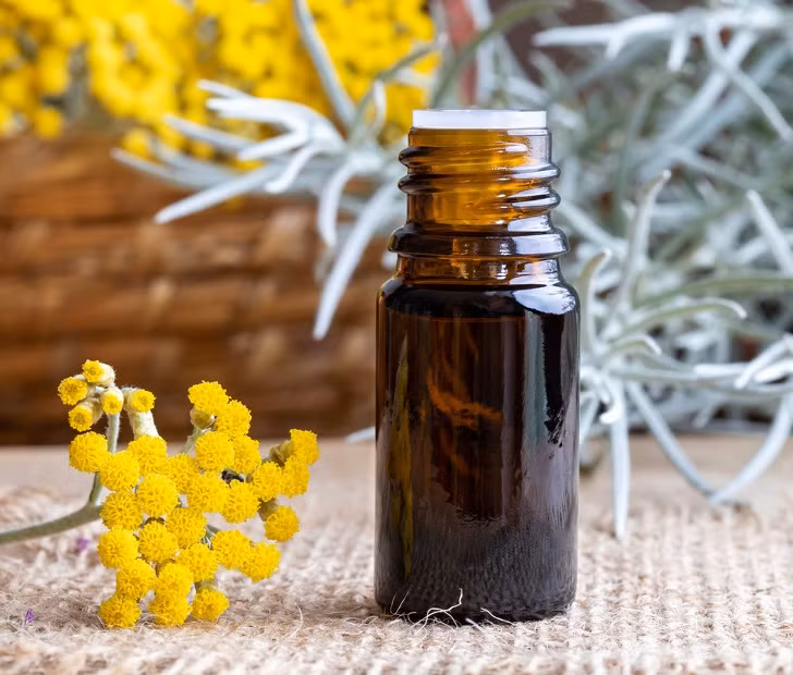 Thoa dầu hoa cúc lên da: Không chỉ làm tan máu, dầu hoa cúc còn có tác dụng chống viêm, giúp phòng ngừa cục máu đông. Thoa một vài giọt dầu ở những khu vực mà bạn cảm thấy tuần hoàn máu tệ nhất.