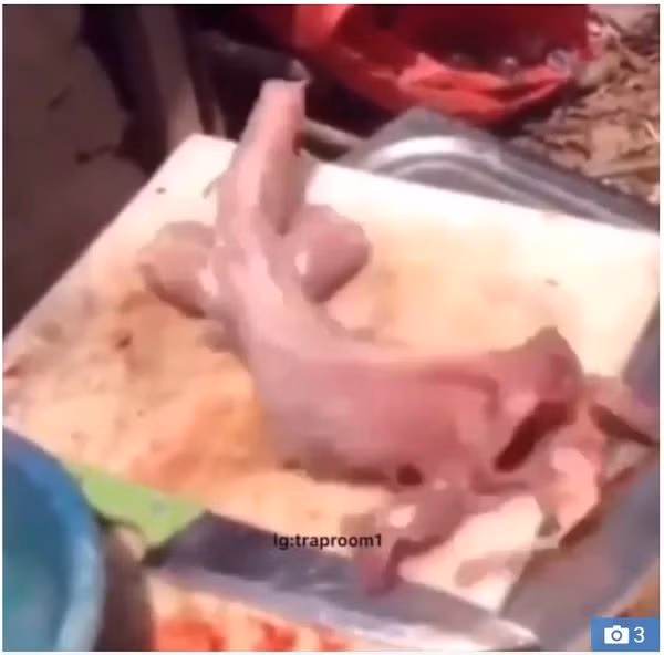 Cá đã bị làm thịt bỗng ‘sống lại’ khiến dân tình hú vía Ca da bi lam thit bong ‘song lai’ khien dan tinh hu via