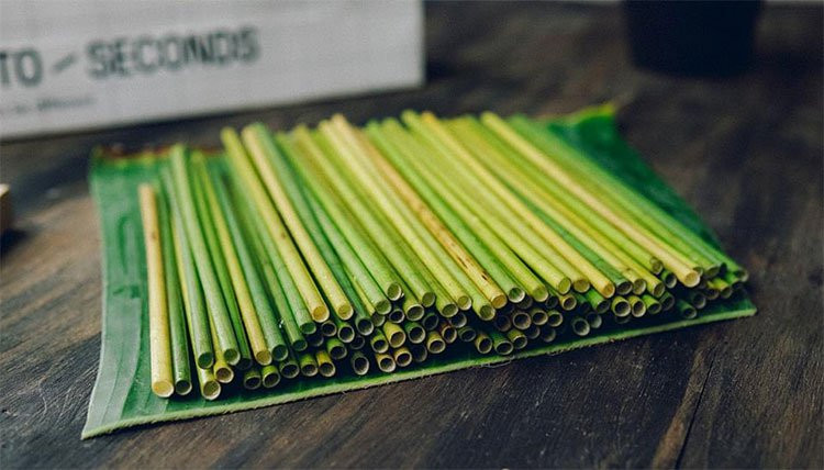  Ống hút cỏ là một sản phẩm rất mới và rất được nhiều bạn hưởng ứng bởi nó không cần trải qua quá nhiều công đoạn sản xuất như những loại khác và có giá thành cũng khá là rẻ. Ống có hai loại chính là ống hút cỏ tươi và ống hút cỏ khô.