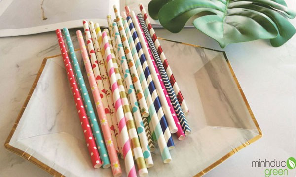 Ống hút giấy: Đây là một trong những loại ống hút thân thiện với môi trường ra đời sớm nhất và cũng đang là loại ống hút được khá nhiều gia đình, quán nước lựa chọn sử dụng.