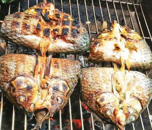 Pa pỉnh tộp: Được chuẩn bị cẩn thận, cầu kỳ từ nguyên liệu đến thanh tre nướng, pa pỉnh tộp chứa đựng biết bao tình cảm, sự khéo léo của người Thái. Lên vùng Tây Bắc, nếu có cơ hội thưởng thức món cá nướng gập, du khách sẽ khó lòng quên được hương vị độc đáo này.