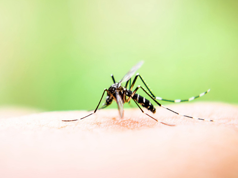 Nhan dien 5 nguyen nhan nguy hiem khien be sot cao khong ha-Hinh-4