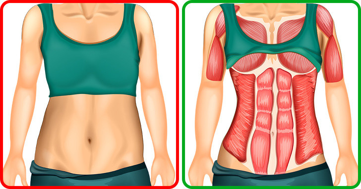 Hỗ trợ giảm cân: Trong một nghiên cứu năm 2015, người ta thấy rằng phô mai có thể giúp bạn giảm cân, ngay cả khi bạn không thường xuyên tập thể dục.