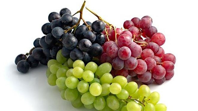 Tăng cường hệ miễn dịch: Các vitamin và khoáng chất trong nho giúp tăng cường hệ miễn dịch. Bên cạnh đó hàm lượng cao vitamin C trong nho sẽ giúp bạn phòng ngừa các bệnh như cảm lạnh và cảm cúm.