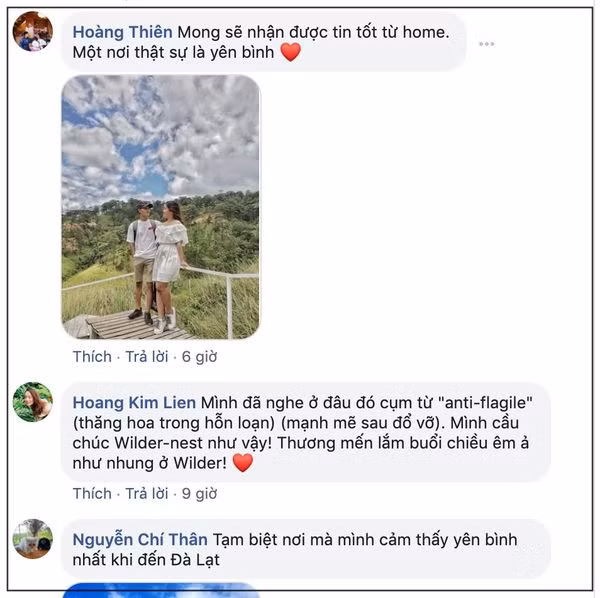 Dan tinh tiec nuoi khi homestay hot nhat Da Lat thong bao tam dong cua vi tranh chap dat dai-Hinh-3