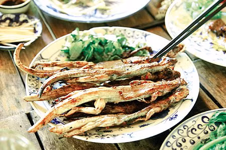 Tuy nhiên, theo chia sẻ của bác sĩ thì thằn lằn có rất ít thịt nên giá trị dinh dưỡng không nhiều. Nếu so sánh về dinh dưỡng thì thịt cóc còn bổ dưỡng hơn. Do vậy, bác sĩ cho rằng không nên khuyến khích việc ăn thịt thằn lằn bởi loài này bản chất ăn côn trùng như ruồi, muỗi, trong khi hiện có rất nhiều loại thực phẩm bổ dưỡng khác an toàn hơn.