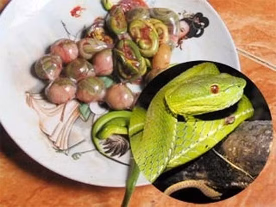 Bào thai rắn, chuột: Bào thai động vật, hay hà nàm, là thứ "thần dược" cường dương nổi tiếng được nhiều người săn lùng. Thứ hà nàm phổ biến hơn cả là hà nàm chuột và rắn. Trứng rắn và bào thai rắn còn nguyên màng nhầy được lấy "tươi" ngay khi vừa mổ thịt rắn mẹ, chỉ cần nhúng qua nước lẩu, còn chưa cần chín đã được các quý ông đưa vào miệng. Ảnh: Internet