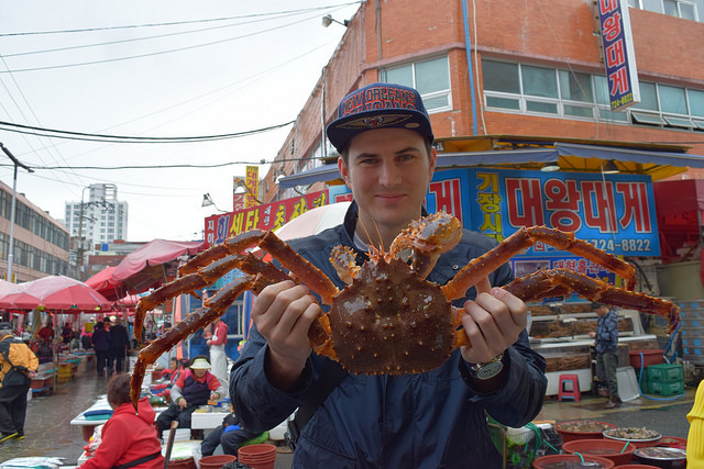 Để ăn cua tuyết ngon thì tốt nhất bạn nên chọn những con còn nguyên vẹn phần chân. Những con cua mất chân thường sẽ rẻ hơn một chút nhưng chân mới là phần ngon nhất của cả con.