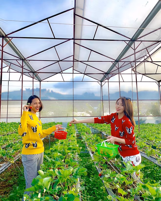 Tham dự các sự kiện, cả hai thường diện trang phục có nhiều nét tương đồng. Người đẹp Kỳ Duyên còn diện cả đồ đôi với Minh Triệu.