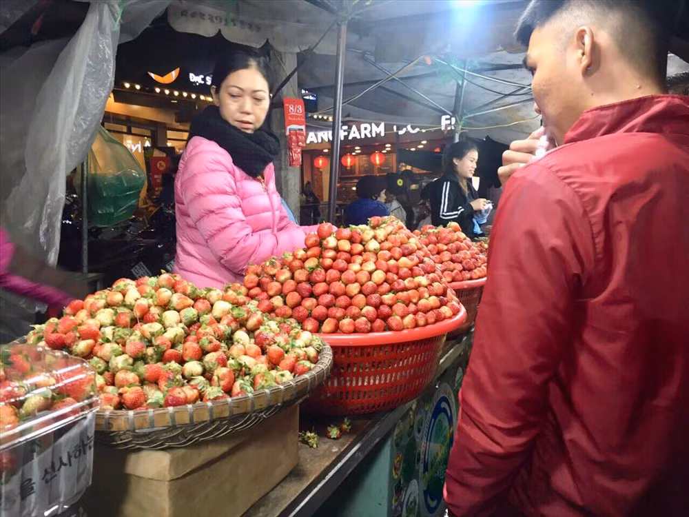 Dây tây: Những trái dâu đỏ mọng với vị chua chua, ngọt ngọt sẽ khiến bạn không thể nào cưỡng lại được. Ảnh: Lao Động.