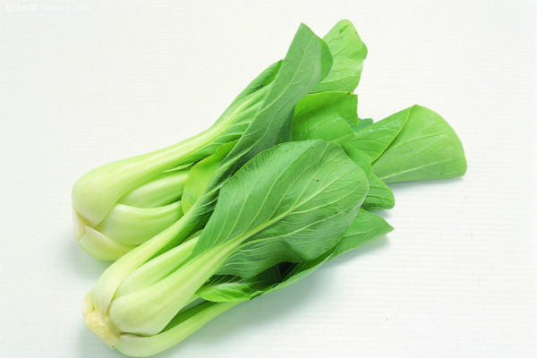 Trị ho lâu ngày: Hai cây cải thìa, rửa sạch, thêm 30g đường phèn, đun nước uống. Ngày uống 2 - 3 lần.