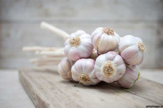 Tỏi: Đây cũng là một phương pháp tự nhiên rất hiệu quả trong điều trị viêm loét dạ dày hoặc viêm loét dạ dày tá tràng. Tỏi chứa các thành phần kháng khuẩn và kháng virus, giúp chống lại và tiêu diệt các vi khuẩn gây ra các vết loét dạ dày. Bạn có thể dễ dàng đạt được hiệu quả bằng cách ăn 3 đến 4 nhánh tỏi mỗi ngày trong bữa ăn hoặc ăn kèm với mật ong.