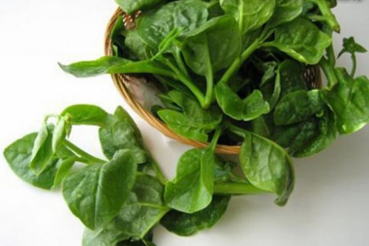 Canh mồng tơi, cá diếc: cá diếc 1 con 200g, mồng tơi 300g. Cá bỏ ruột, làm sạch; mồng tơi rửa sạch, cắt nhỏ. Cho cá và nước lượng vừa đủ vào nồi, đun lửa lớn cho thật sôi, rồi hạ nhỏ lửa, khi cá chín thì cho rau mồng tơi vào, nấu sôi lại. Mồng tơi chín nêm gia vị vừa ăn. Ăn nóng trong bữa cơm.