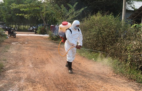 Phat hien them o dich ta lon Chau Phi moi tai Thua Thien - Hue-Hinh-2