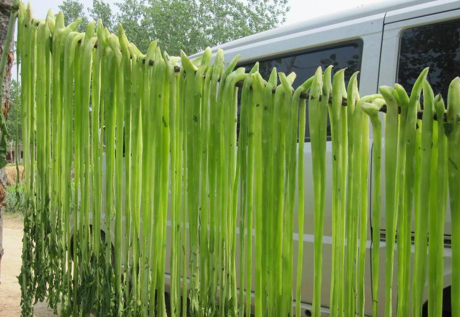 Rau tiến vua không chỉ ngon mà còn rất giàu dinh dưỡng. Trong rau chứa nhiều chất xơ, nước, các khoáng chất và vitamin trong khi hàm lượng calo lại thấp.