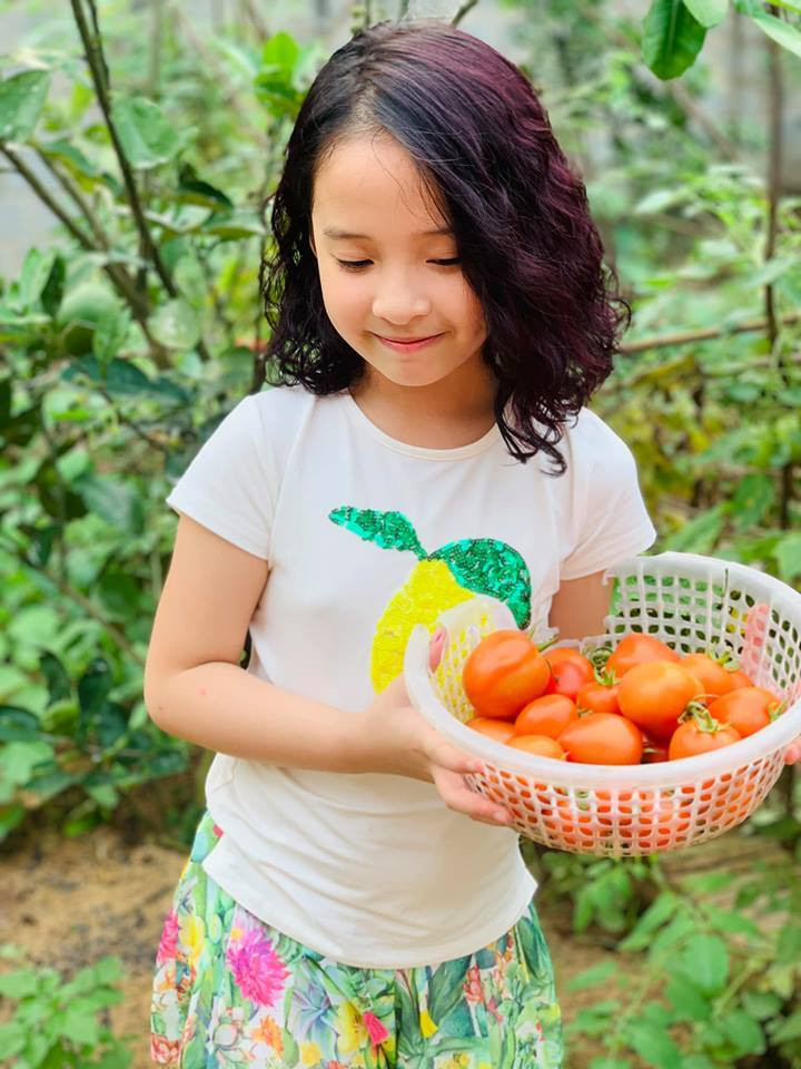 Vợ con anh thường xuyên về khu biệt thự này để nghỉ dưỡng và tự tay thu hoạch những rau quả sạch để làm nguyên liệu bữa ăn ngon cho gia đình.