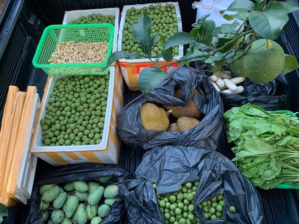 Me man nha vuon 1.300m2 cua Hong Dang ngap cay an qua-Hinh-3