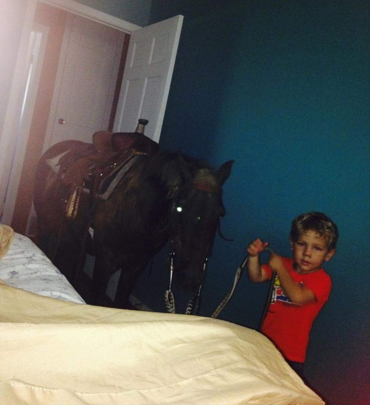 Đắt "bạn" ngựa vào nhà chơi.