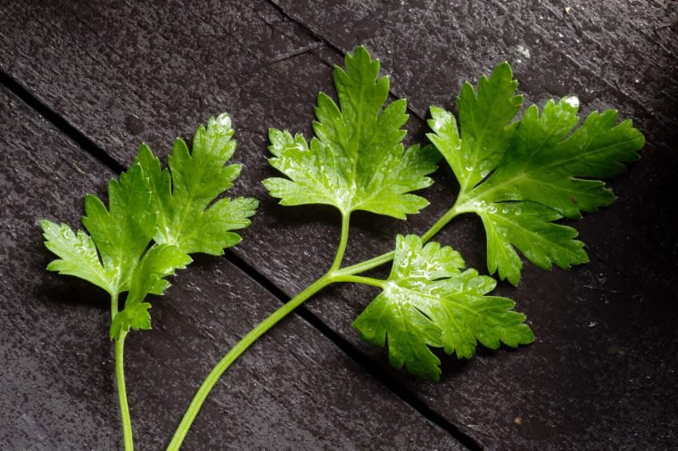 Ăn rau mùi tây: Các hóa chất thực vật như diệp lục và polyphenol trong rau mùi tây kết hợp với lưu huỳnh trong tỏi làm giảm bớt mùi khi ăn tỏi. Húng quế, húng tây, bạc hà và thì là cũng có tác dụng tương tự.