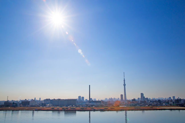 Bảo vệ khỏi ánh nắng mặt trời: Lựu có thể giúp chống lại ảnh hưởng do các tia mặt trời độc hại. Loại trái cây này giúp bảo vệ da khỏi tổn thương do gốc tự do và ngăn ngừa các biến chứng liên quan đến tổn thương do ánh nắng mặt trời, bao gồm cả ung thư da. Axit ellagic, một loại chất chống oxy hóa polyphenol chiếm một tỉ lệ lớn trong thành phần của quả lựu, giúp ngăn ngừa sự phát triển của các khối u da.